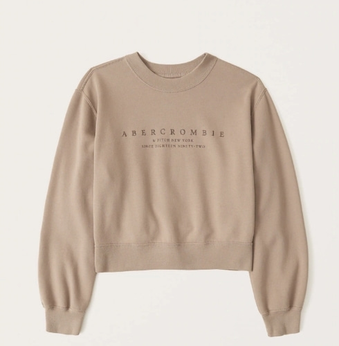 Abercrombie sweatshirt